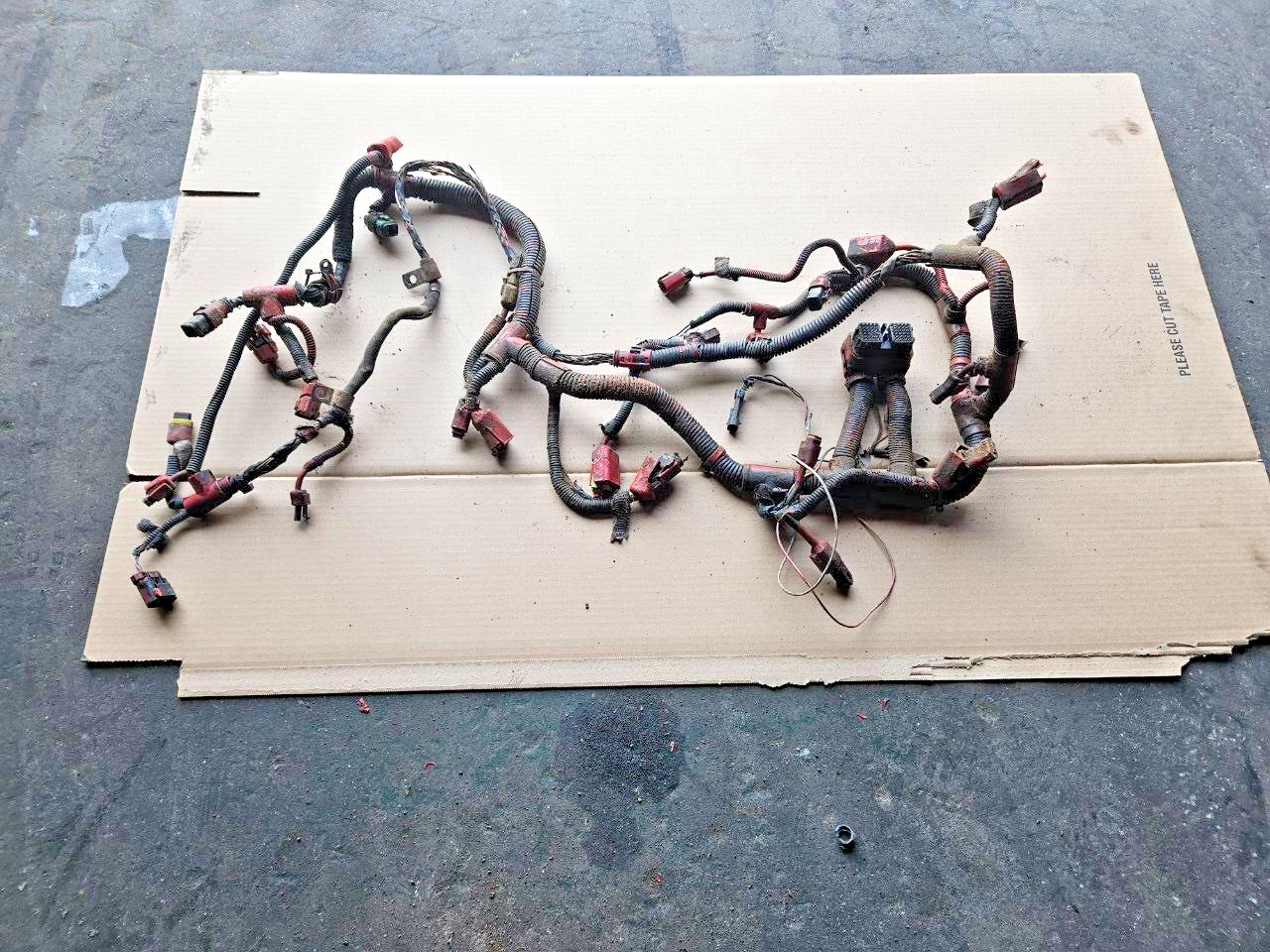 Cummins ISC 285 8.3L Diesel Engine Wiring Harness OEM