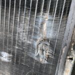 246000 Detroit Diesel 4-53 Power Unit Radiator 25 x 25-13/16 x 3-7/16 OEM -  Picture 1 of 6 Picture 2 of 6 Picture 3 of 6 Picture 4 of 6 Picture 5 of 6 Picture 6 of 6 Picture 1 of 6 Picture 2 of 6 Picture 3 of 6