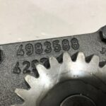 OIL PUMP CUMMINS ISL 8.3 PACCAR 6C, 6CT ENGINES 4983588, 4941464, 3950005 OEM - 148.5$ Picture 1 of 5 Picture 2 of 5 Picture 3 of 5 Picture 4 of 5 Picture 5 of 5 Picture 1 of 5 Picture 2 of 5 Picture 3 of 5