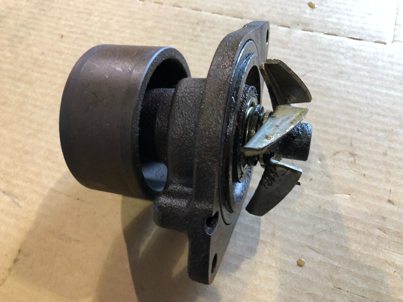 Genuine Cummins Water Pump 4891252 for Diesel Engine 4BT 4BTA 6B 6BT OEM