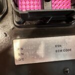 Cummins ISC Diesel Engine Control Module ECM ECU 4921776 OEM - 832.5$ Picture 1 of 4 Picture 2 of 4 Picture 3 of 4 Picture 4 of 4 Picture 1 of 4 Picture 2 of 4 Picture 3 of 4