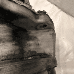 Cummins N14 Diesel Engine Bendix TU-FLO 550 COMPRESSOR w Accessory Drive 3072367 - 990$ Picture 1 of 8 Picture 2 of 8 Picture 3 of 8 Picture 4 of 8 Picture 5 of 8 Picture 6 of 8 Picture 7 of 8 Picture 8 of 8 Picture 1 of 8 Picture 2 of 8 Picture 3 of 8 Picture 4 of 8 Picture 5 of 8 Picture 6 of 8 Picture 7 of 8