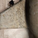 2013 International Maxxforce 13 Diesel Engine Coolant Tube 3005313C3 Sensor OEM - 170$ Picture 1 of 3 Picture 2 of 3 Picture 3 of 3 Picture 1 of 3 Picture 2 of 3