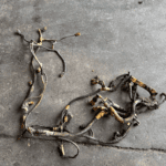 CAT C13 400 HP AND ABOVE DIESEL ENGINE  WIRING HARNESS 3281239 OEM 246-4346 - 630$ Picture 1 of 5 Picture 2 of 5 Picture 3 of 5 Picture 4 of 5 Picture 5 of 5 Picture 1 of 5